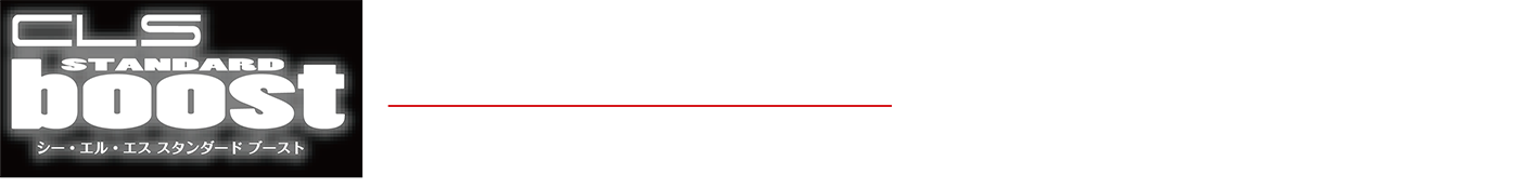 CLS STANDARD boost VW POLO