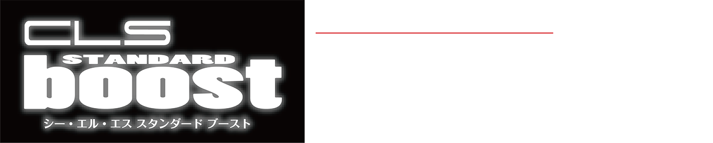 CLS STANDARD boost VW POLO